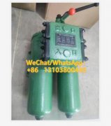 KF-100B*30D雙筒不銹鋼金屬網(wǎng)式過濾器替代濾芯